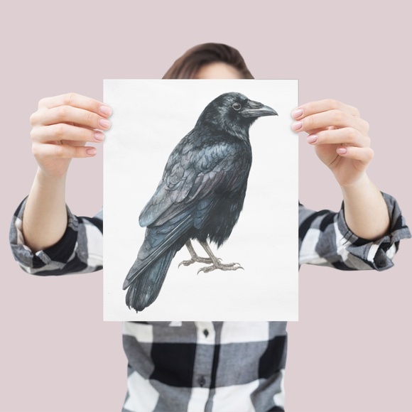 Watercolor Black Crow Wall Art Print Unframed - Black Bird Illustration Artwork - Picture 4 of 6